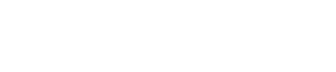 CAMSEQ Consulting