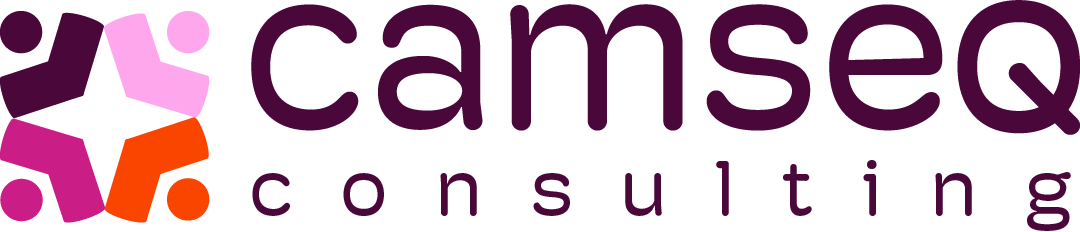CAMSEQ Consulting
